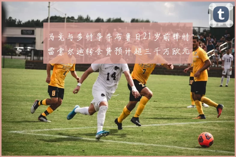 马竞与多特争夺布鲁日21岁前锋特雷索尔迪转会费预计超三千万欧元