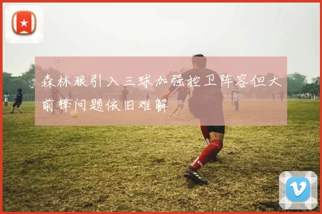 森林狼引入三球加强控卫阵容但大前锋问题依旧难解